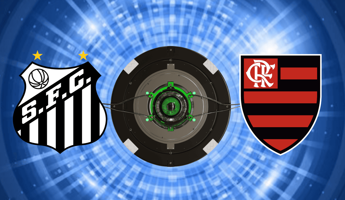 Santos x Flamengo onde assistir ao jogo do Brasileirão